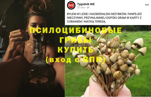 винт Михайловка