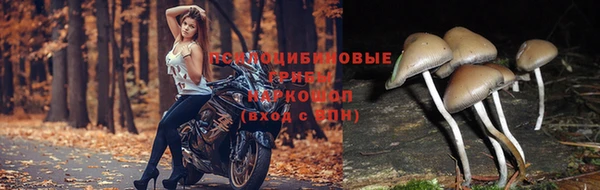 кокаин Михайловск