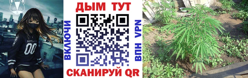 Купить Корсаков Конопля марихуана